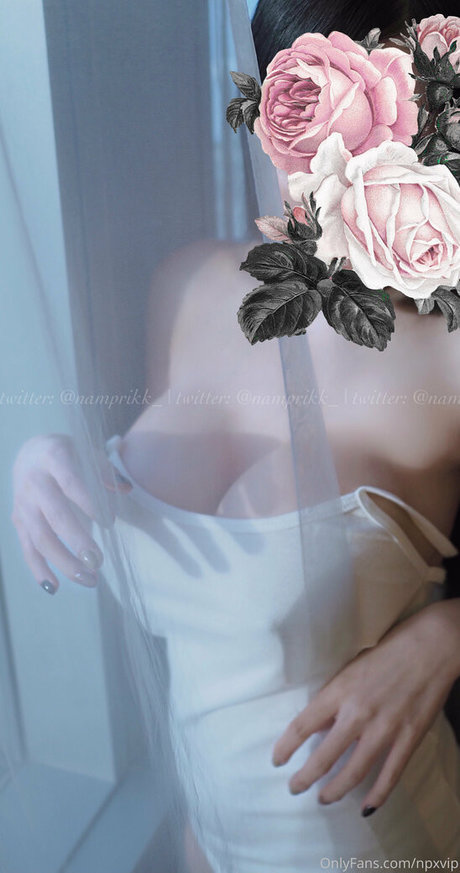 Npxvip top profile image