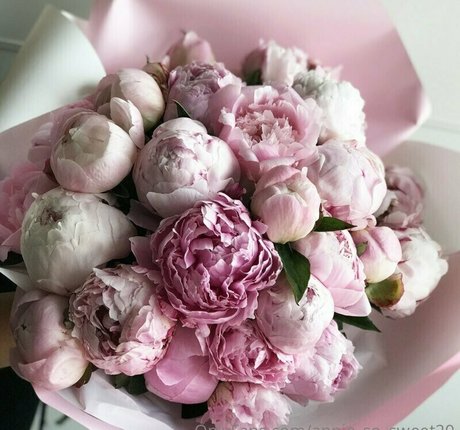 annie so sweet nice star pic