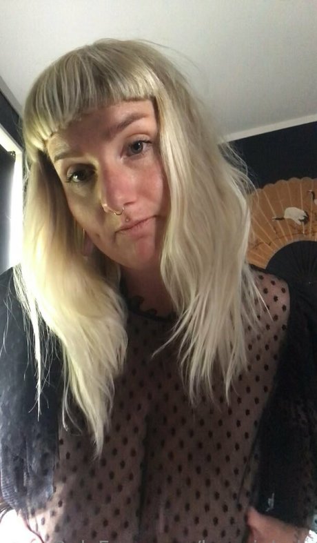 bonnielady star art galleries