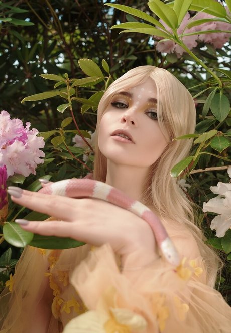 Di Simon profile image