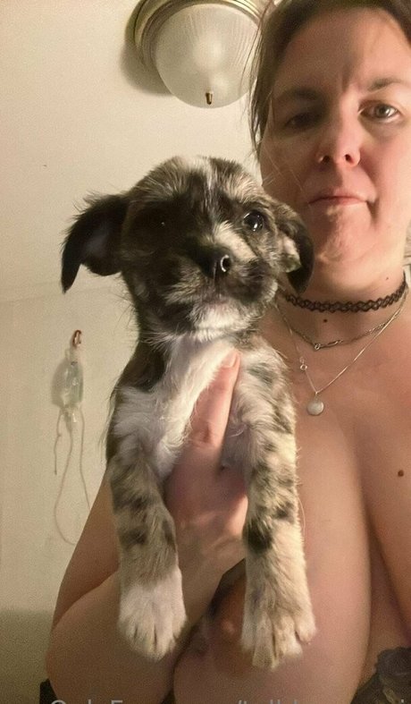 talldancermi hd actress gallery