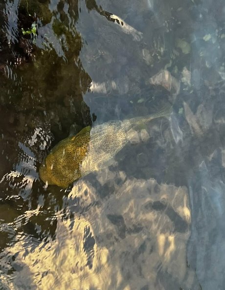 babyski mask pornstar sex pics