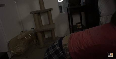 Soe Gwchwind porn actress photos