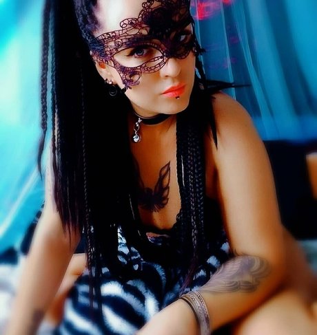 firebird ash nice star galleries