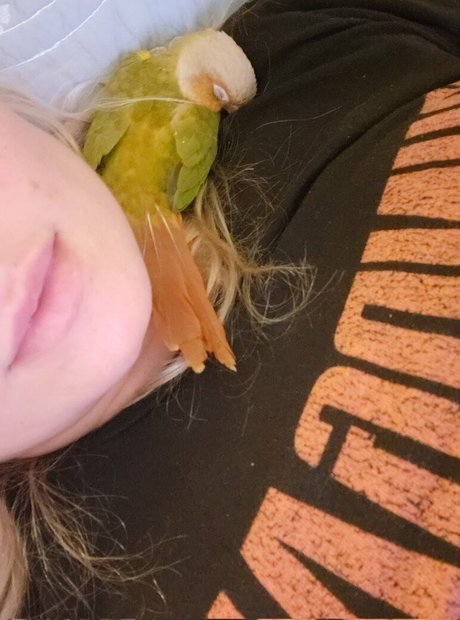 Asiri Ocean star perfect images