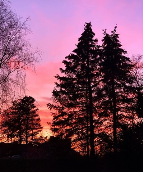 black pawg onlyfans xxx archive