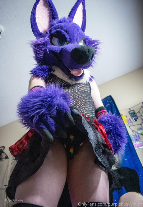 purplehuskymurr hot pornstar images