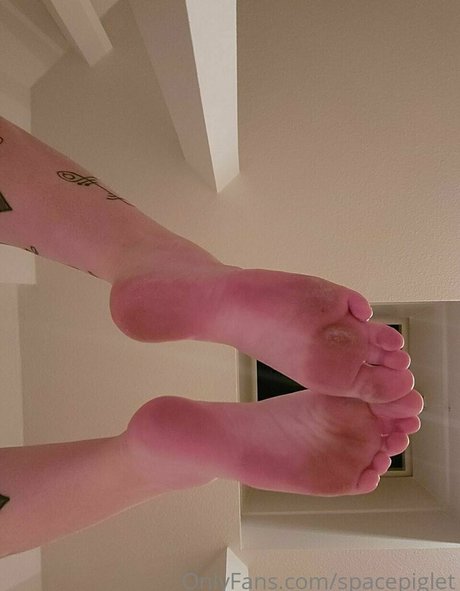 spacepiglet art model images