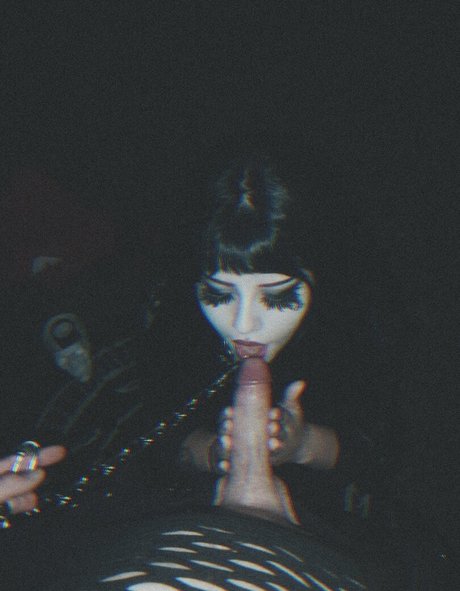 morguecat star pretty photo