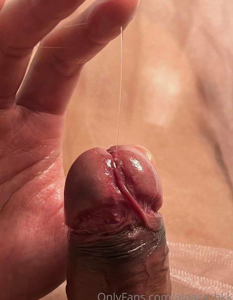 alpaca bkk pornstar free images