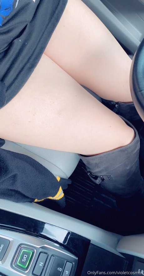 violetcosmos art star galleries