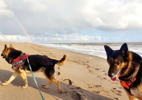 thai pussy onlyfans free xxx gallery