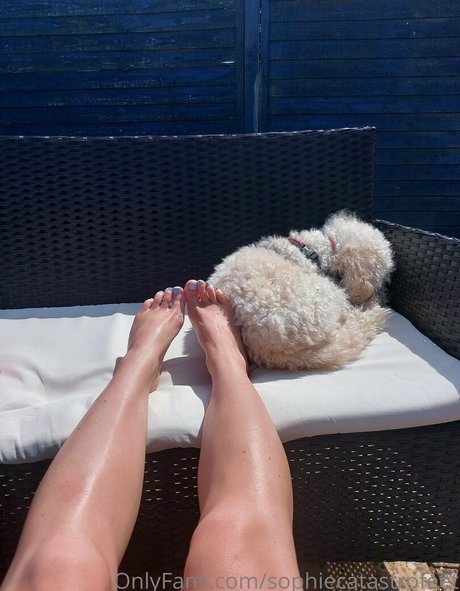 sophiecatastrofeet high quality pornstar pic