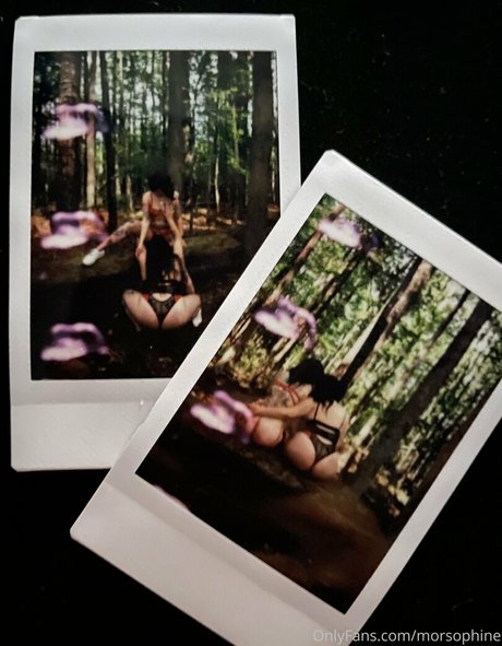 morsophine pornstar pretty galleries