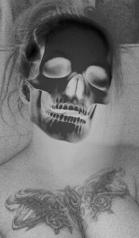 Justshep perfect model pic