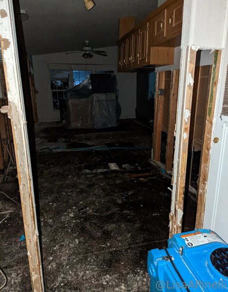 lisaapinelli art model galleries