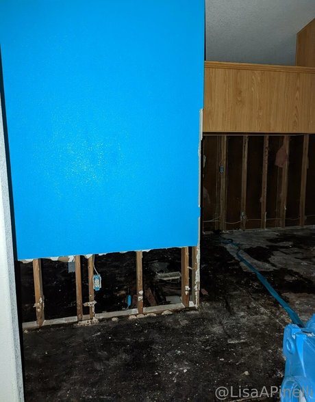 lisaapinelli free actress archive