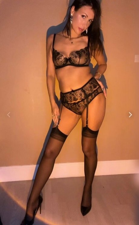 Tota11y model pretty img