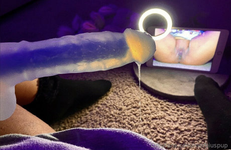 Morbiuspup nudes pornstar photos