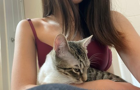 everybodymeow pornstar nudes image