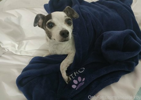 sneakykirby naked actress galleries