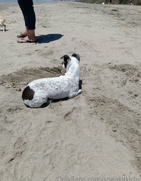 sneakykirby pornstar nice pics