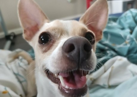 sneakykirby pornstar best image