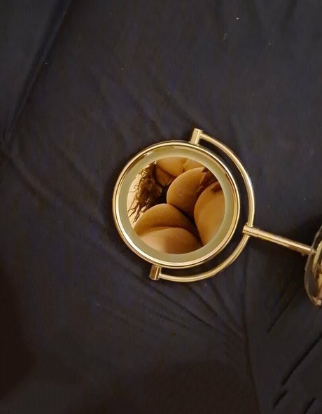 laurabianca1307 hd star archive