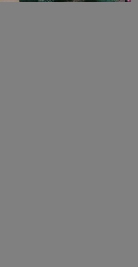 thatbakedwitcch star beautiful photo