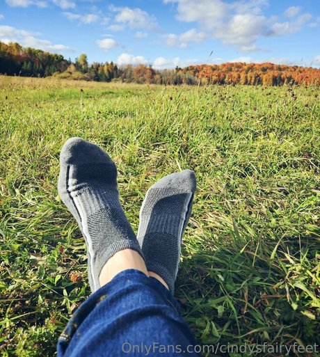 cindysfairyfeet xxx pornstar picture