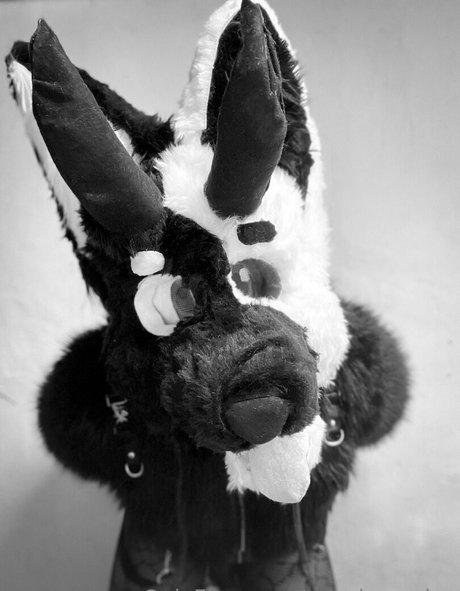 corpus onlyfans hot photo