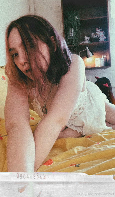 lamblet exclusive star galleries