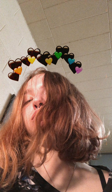 lamblet top star img