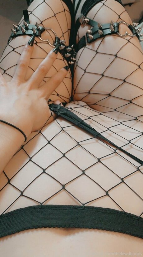 thelewdbunny best star gallery