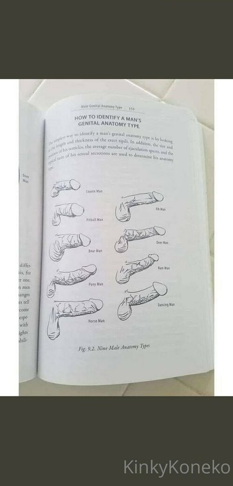 kinkykoneko69 erotic star photos