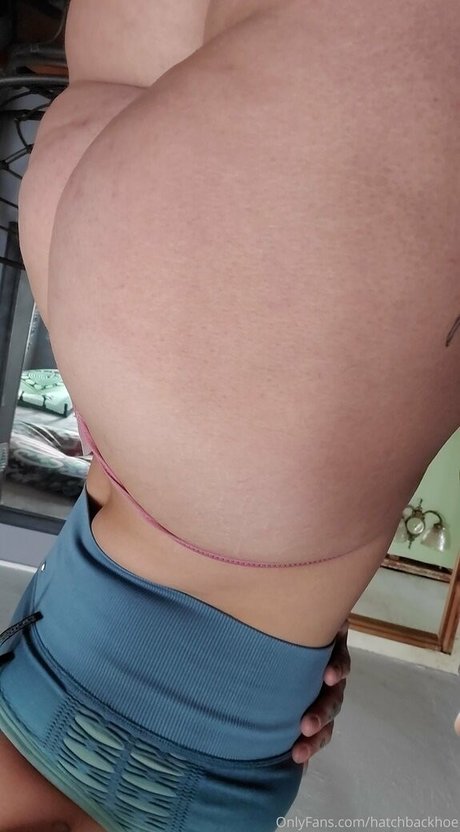 hatchbackhoe art star image