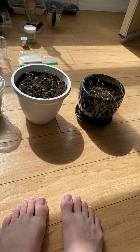 Lanax420 pornstar xxx galleries