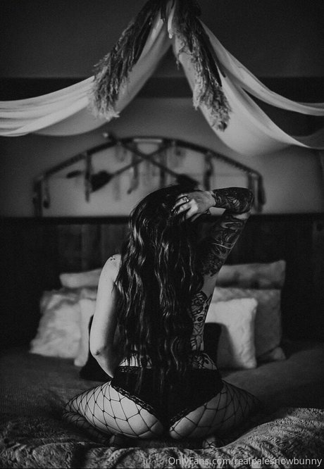 realpalesnowbunny star best images