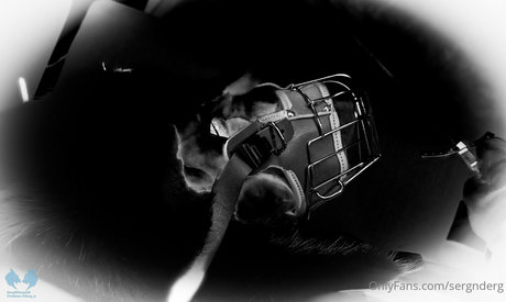 trans onlyfans pornographic img