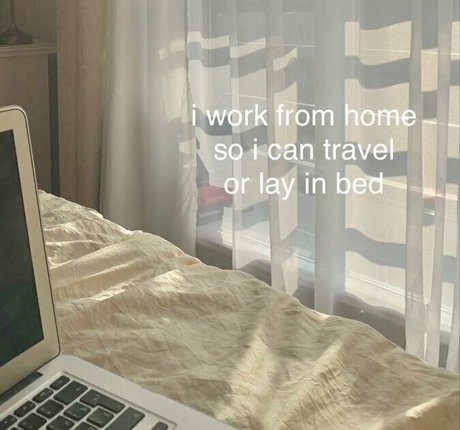 divine hedonist free star nice images