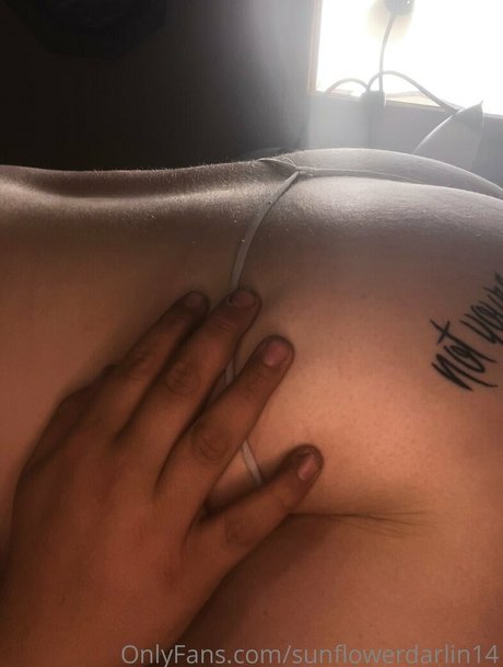 sunflowerdarlin14 pornographic model img