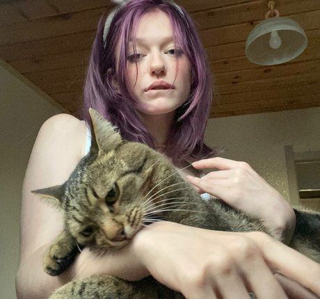 kosha1ne perfect star gallery