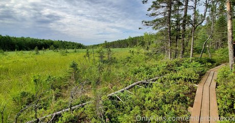 blonde anal onlyfans beautiful nude pics