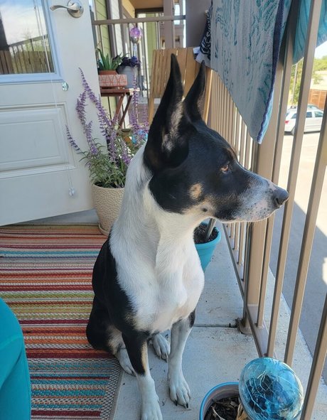 cassievalentine96 star sexy photo