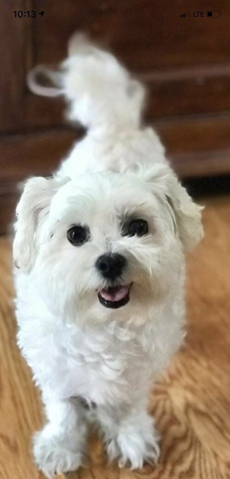 shanma model beautiful pics