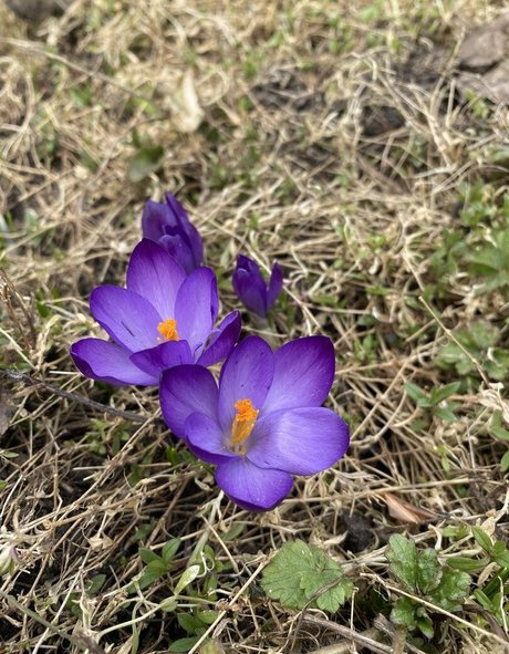 ebony bbw onlyfans beautiful nude pic