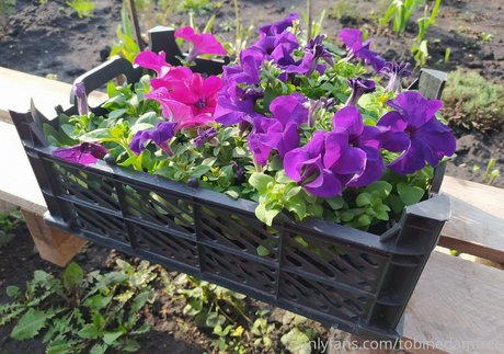 teen topless onlyfans hot sexy images