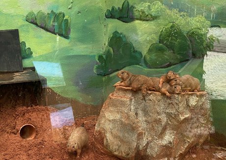 dark skin onlyfans beautiful xxx image