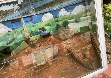 omankovivi pornstar hd galleries