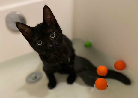 omankovivi sex actress photo